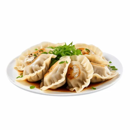 Gyoza Kip En Groenten